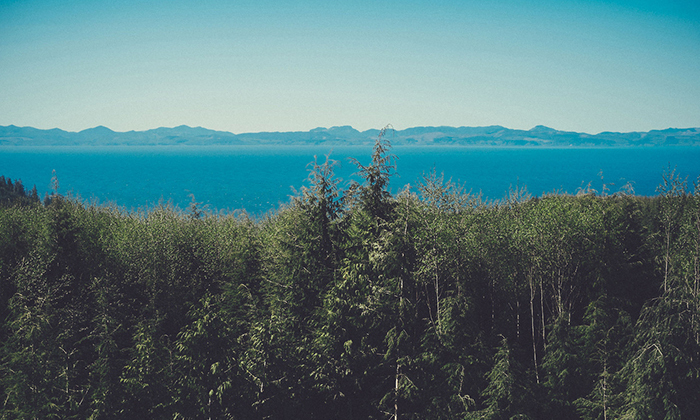 独家货源的在线DDOS攻击平台